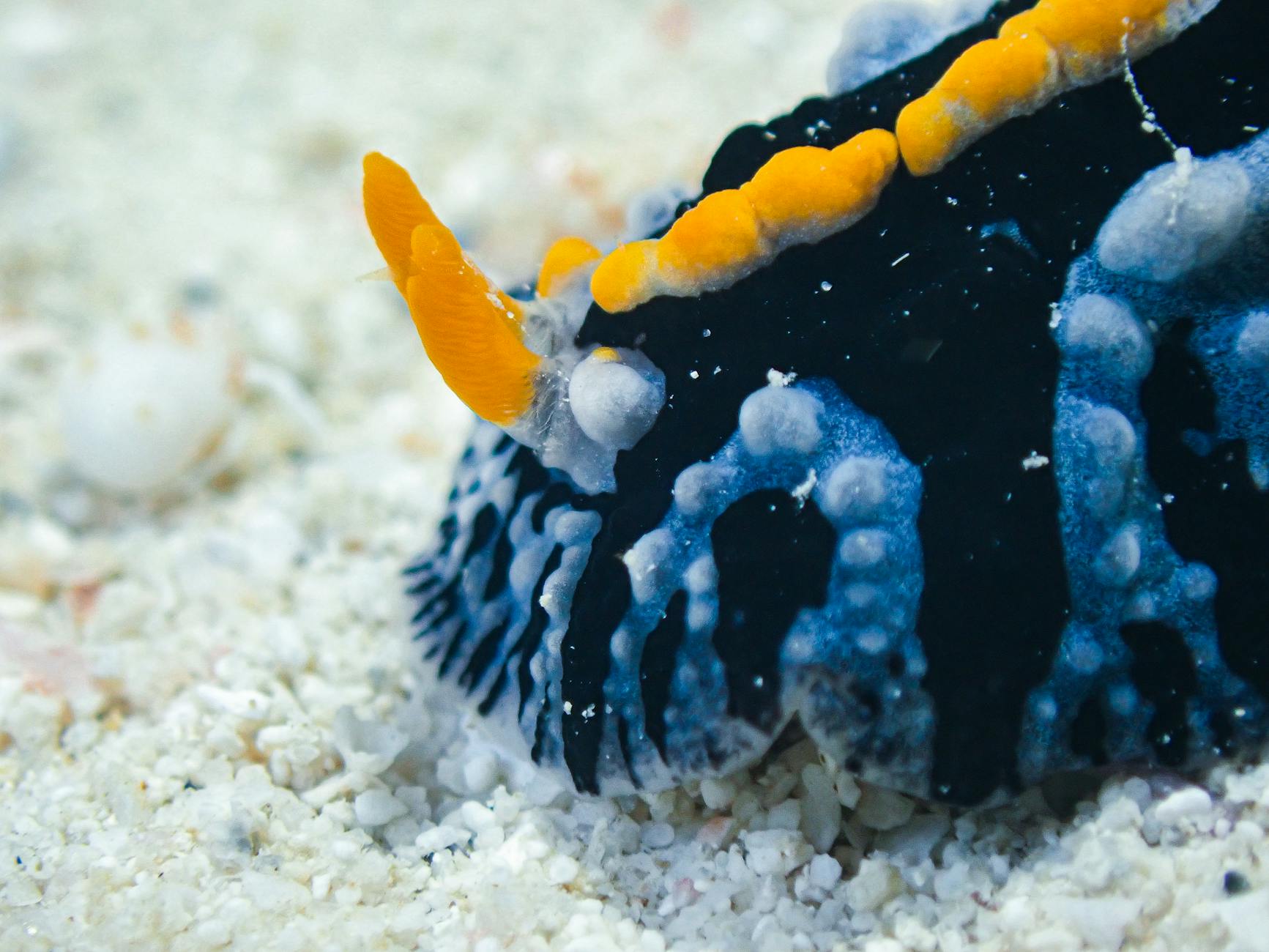 deluxetravelclub_mauritius luksusowe wakacje-12_9.jpg